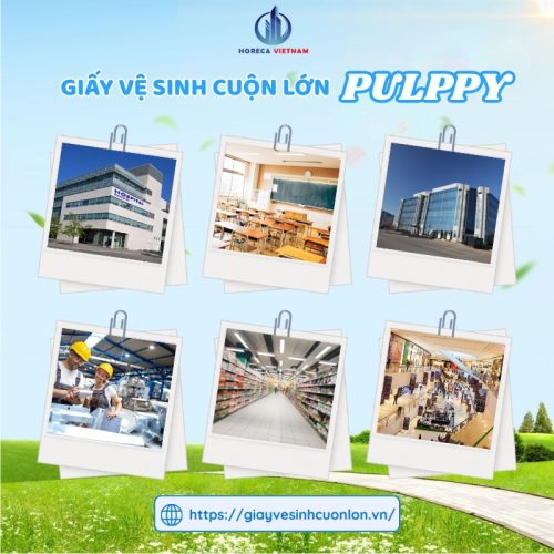 Giấy vệ sinh cuộn lớn Pulppy 1kg được sử dụng rộng rãi tại bệnh viện, trường học, văn phòng, trung tâm thương mại và nhà máy