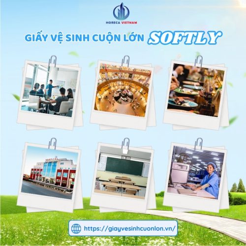 Giấy vệ sinh cuộn lớn Softly 700g phù hợp cho văn phòng, bệnh viện, trường học, nhà hàng, khách sạn và trung tâm thương mại