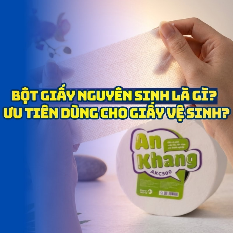 Bột giấy nguyên sinh là gì?