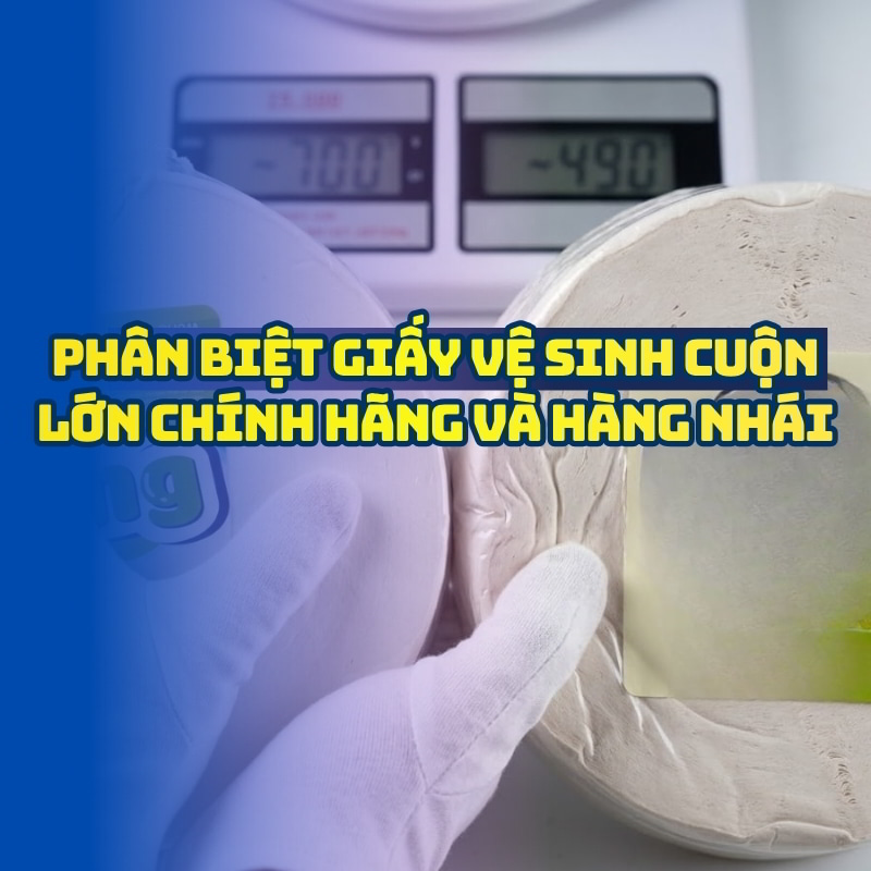 Phân biệt giấy vệ sinh cuộn lớn chính hãng và hàng nhái